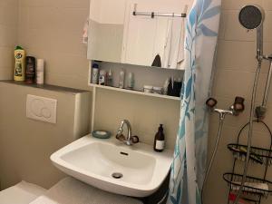 a bathroom with a sink and a shower at sport et repos à Leysin CH in Leysin