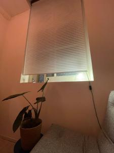 Afbeelding uit fotogalerij van Scheepmakershaven in Schoonhoven