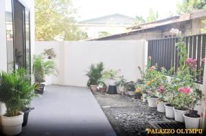 a courtyard with potted plants and a fence at Palazzo Olympu Guest House in Bantay +16 photos
