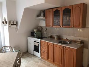 a small kitchen with wooden cabinets and a sink at Ubytování u chalupy in České Budějovice