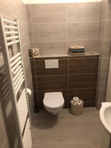 a small bathroom with a toilet and a sink at Ubytování u chalupy in České Budějovice +11 photos