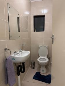 a bathroom with a toilet and a sink at Cozy 2-bedroom apartment in Gaborone +10 photos