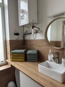 un bagno con lavandino e specchio di L’île aux ch’tis a Lille Altre 8 foto