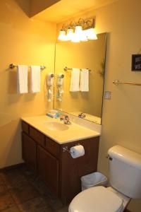 a bathroom with a sink and a toilet and a mirror at Unit 102, 2 Bedroom Duck Lake Condo in Eagle River +27 photos