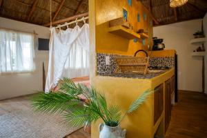 een keuken met een aanrecht en een plant in een kamer bij Panchos Paradise Cabaña Parota in Puerto Vallarta