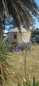 En have udenfor Yurtas Playa San Francisco