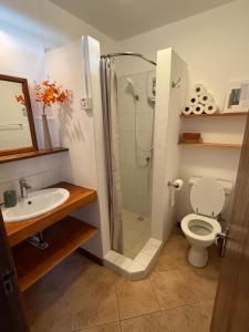 Et badeværelse på Maison Lacoste, villa 150 m2, jardin 750m2 + 12 billeder