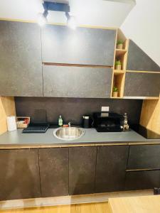 Η κουζίνα ή μικρή κουζίνα στο Alpine Breza Apartments