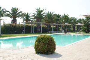 Bazén v ubytování Il Monte Agriresort Copertino nebo v jeho okolí