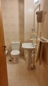 a small bathroom with a toilet and a sink at Hotel Patagonia Norte in Las Grutas