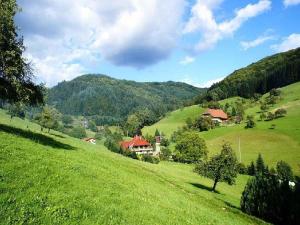 ein grüner Hügel mit Häusern in der Mitte eines Feldes in der Unterkunft Unterer Gurethshof in Zell am Harmersbach