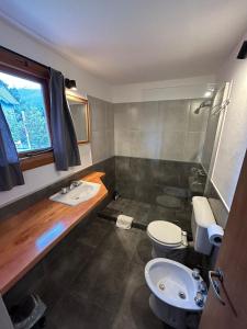 a bathroom with a toilet and a sink at Sombra Verde - Alojamiento Turistico in Villa La Angostura