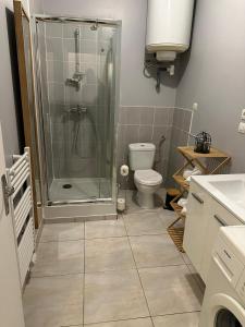 a bathroom with a shower and a toilet at Appartement de 60 m2 au centre ville de morez in Morez