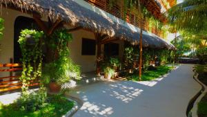 Zahrada ubytování La Palma Holbox