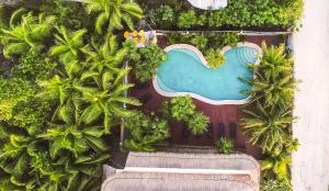 Bazén v ubytování La Palma Holbox nebo v jeho okolí