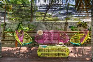 Zahrada ubytování La Palma Holbox