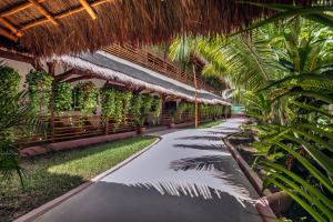 Zahrada ubytování La Palma Holbox