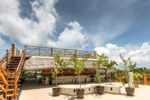Zahrada ubytování La Palma Holbox