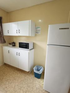 Kuchyň nebo kuchyňský kout v ubytování Cedar Lodge Motel Hamilton