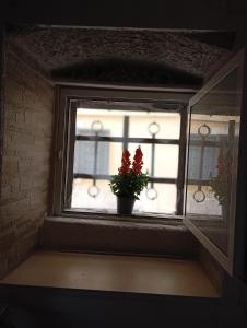 Fotografie z fotogalerie ubytování Casa vacanze Piazza Immacolata v destinaci Molfetta