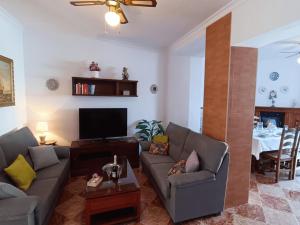 a living room with a couch and a tv at Country House Cuevas Bajas by Genil River in Cuevas Bajas