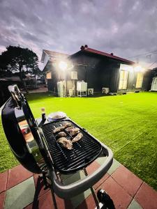 Villada konukların erişimine açık barbekü olanakları