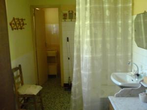 baño con lavabo y cortina de ducha en Les Champys, en Saint-Péreuse