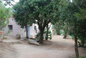 a house with a tree next to a dirt road at Residence Ribellinu in Pianottoli-Caldarello