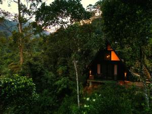 a small house in the middle of a forest at Water Side Cabin in Nallathaniya