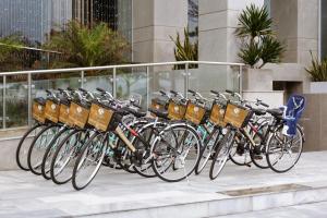 Attività di ciclismo presso l'hotel o nelle vicinanze
