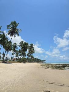 a sandy beach with palm trees on the horizon at Charme e requinte em Carneiros com 2 quartos in Tamandaré