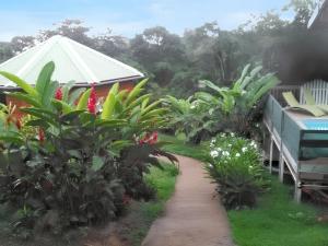 a path in a garden with plants and a building at Bungalow charmant avec piscine partagée à Le Robert in Le Robert