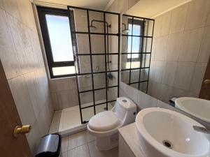 a bathroom with a toilet and a sink and a mirror at Hermosa casa en parcela Algarrobo in Algarrobo