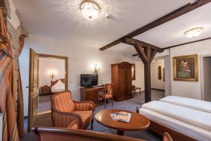 TV a/nebo společenská místnost v ubytování Hotel Goldener Löwe