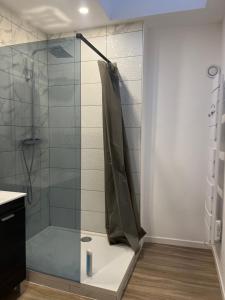 a shower with a glass door in a bathroom at Écrin des nuages in Cognac +12 photos
