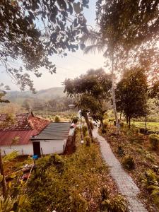 Un jardín fuera de Silent house