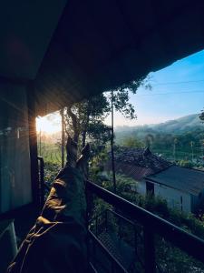 Un paisaje natural cerca de la casa vacacional 3 fotos más