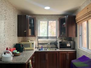 a kitchen with a sink and a microwave at Al Karak House sharing Apt in Kerak