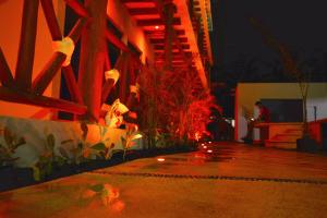 Fotografie z fotogalerie ubytování La Constanza de Rulo v destinaci Ostrov Holbox