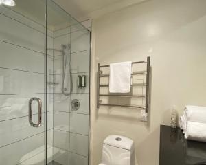 a bathroom with a glass shower and a toilet at Saxton Lodge in Nelson +57 photos
