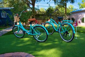 due bici blu sono parcheggiate sull'erba di Golf Gym HotTub Pets Game room Patio a St. George