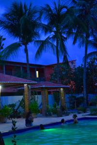 a group of people in a swimming pool at night at Pousada Gincoara in Jijoca de Jericoacoara