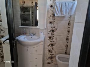 un piccolo bagno con lavandino e WC di Garsonieră cu toate facilitățile, foarte aproape de stația de tren Suceava a Suceava