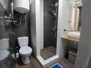 a bathroom with a toilet and a shower and a sink at Privat-Villa-Котедж in Mykulychyn +58 photos