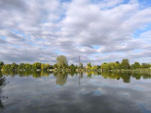 a large body of water with trees and clouds at RSD Horgász Szállás in Ráckeve +10 photos