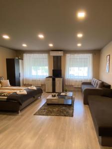 a large living room with a bed and a couch at Aranyfürt Vendégház GOLD in Tokaj
