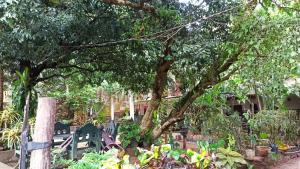 Um jardim no exterior de Prasanna Hotel and Rest
