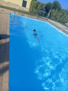 The swimming pool at or close to LA TANA DEL CINGHIALE