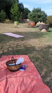 A garden outside LA TANA DEL CINGHIALE