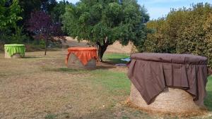 A garden outside LA TANA DEL CINGHIALE